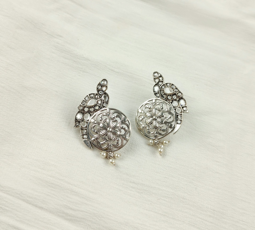 Bird Silver Earning